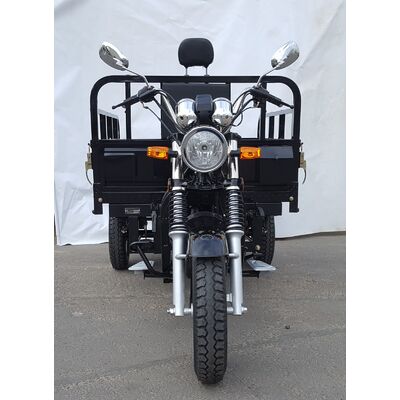 Трицикл ZIP MOTORS Triton 200 (черный) #2