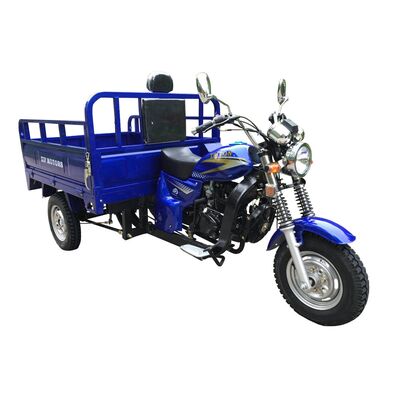 Трицикл ZIP MOTORS Triton 200 (синий) #0